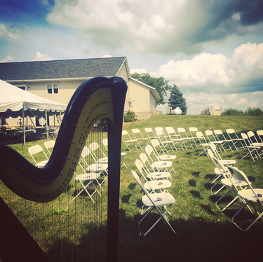 Harpist Albert Lea MN