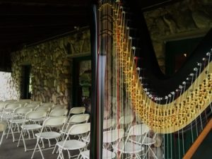 Plymouth Indiana Harpist