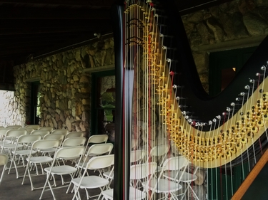 Plymouth Indiana Harpist
