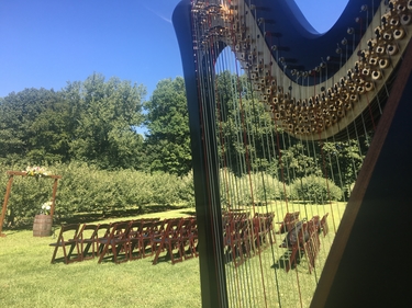Wedding Harpist Southwest MI