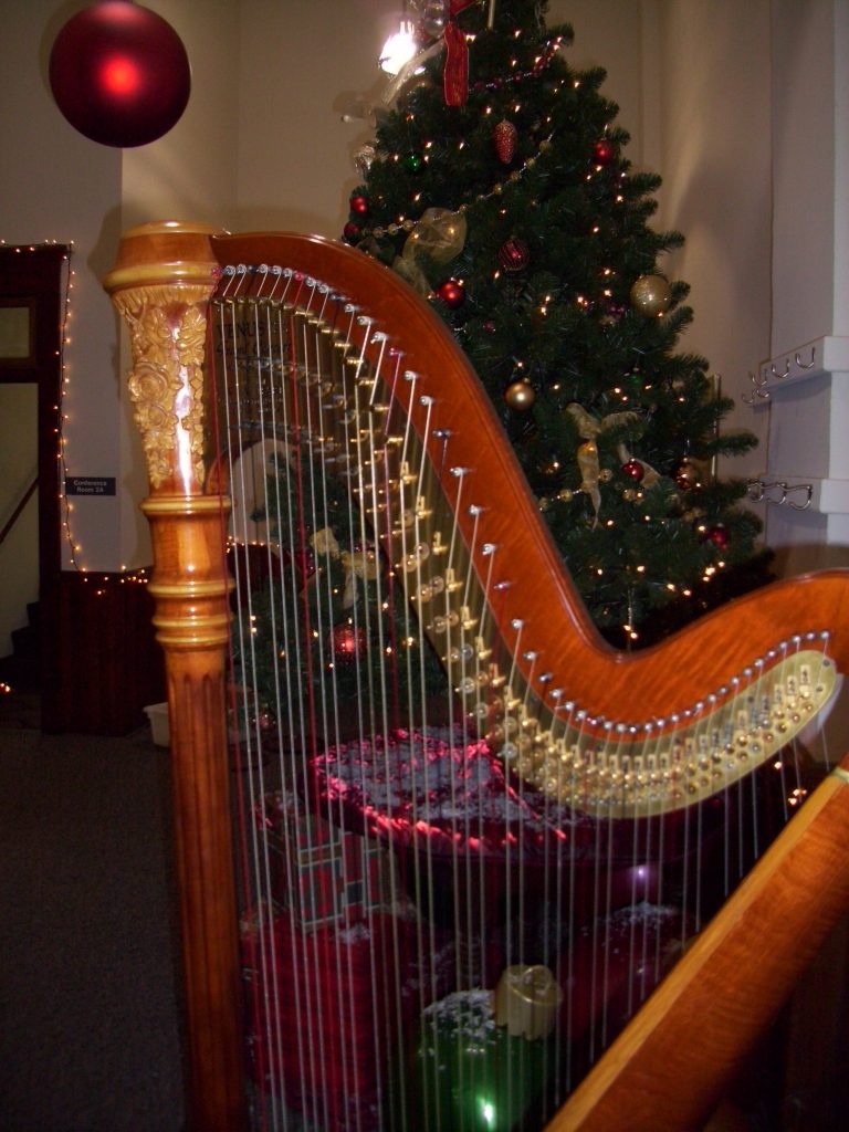 Harpist in Valparaiso IN