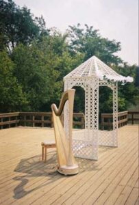 Byron IL Harpist