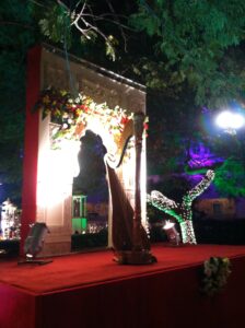 Jaipur International Harpist