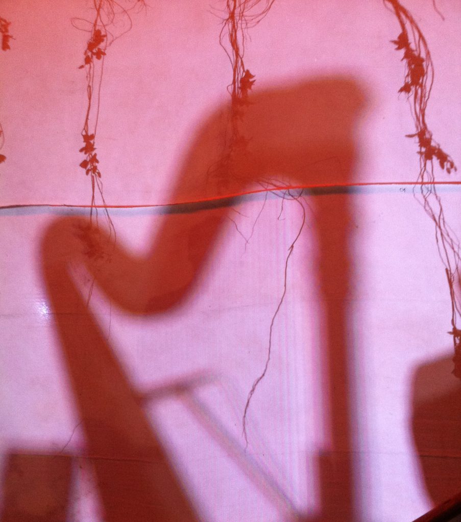 Bollywood Harpist Rajkot