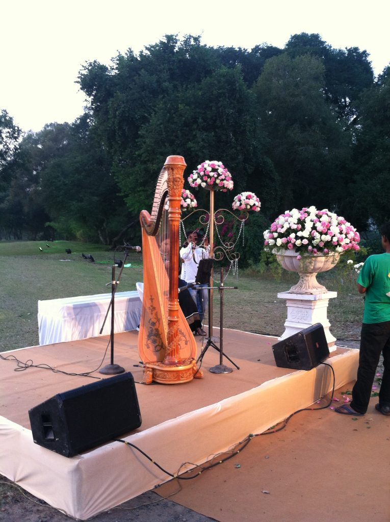 Vadodara Harp Music