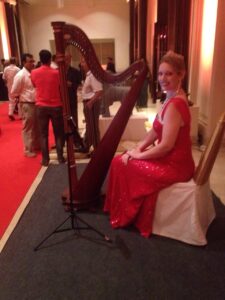 International Musician in Chennai