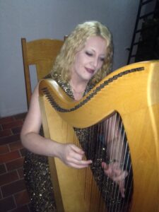 Abuja Harpist