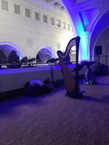 Musician at the Field Museum