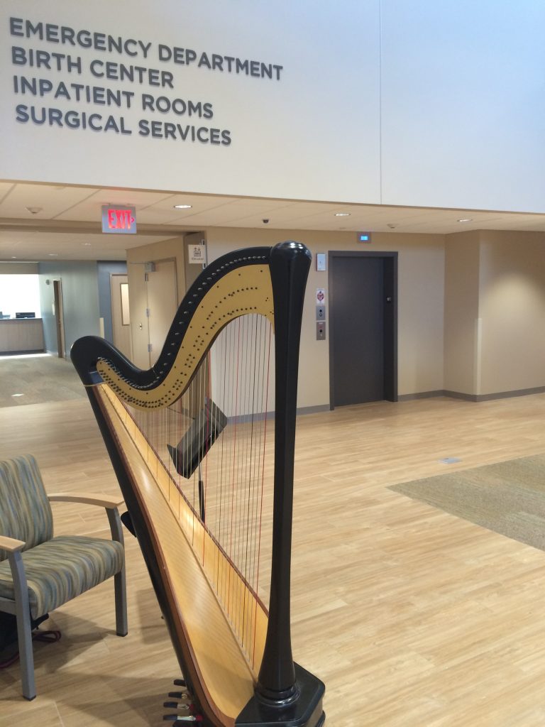 Harpist Minneapolis MN