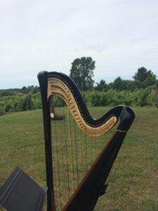 Traverse City Harpist