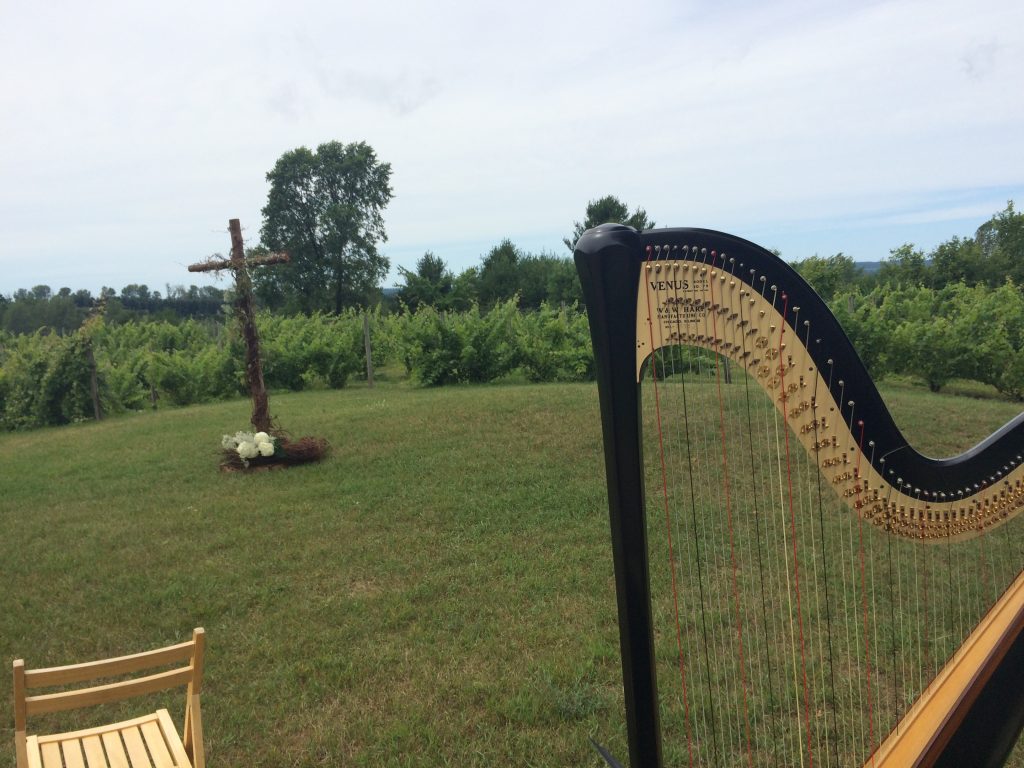 Wedding Harpist Suttons Bay MI