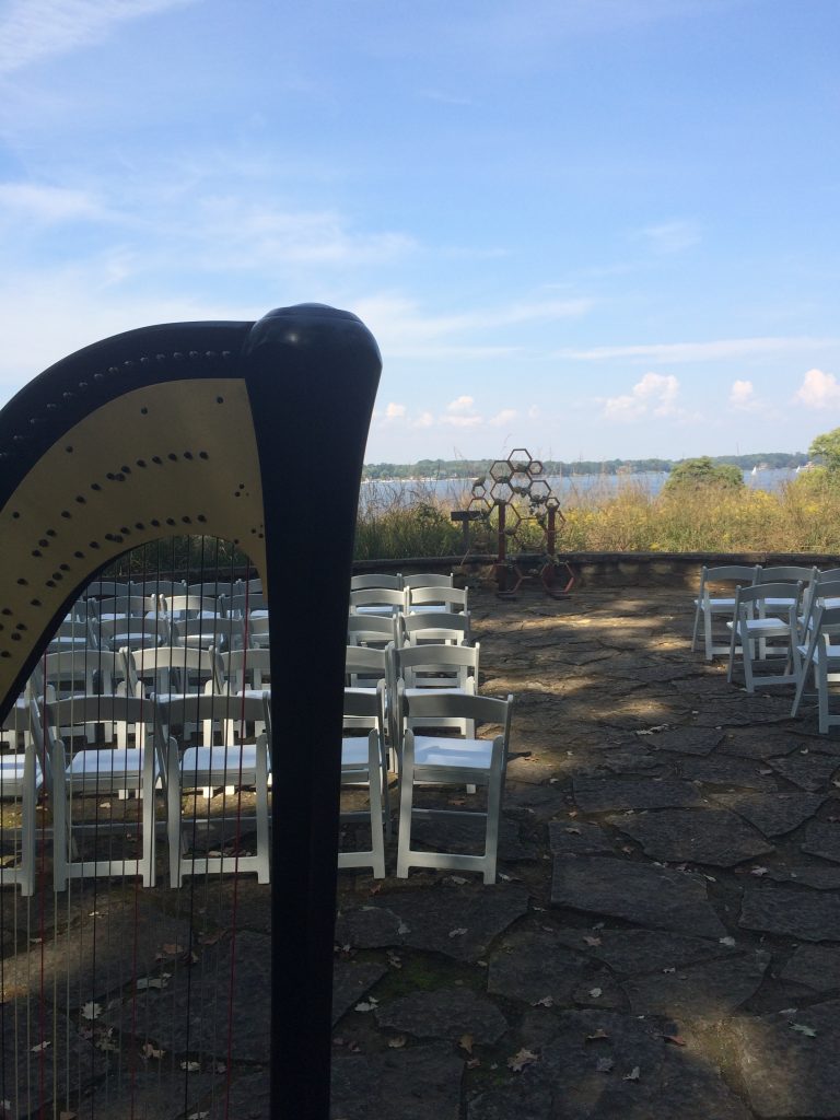 Springfield Wedding Musician