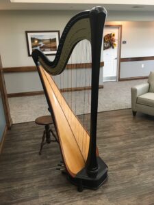 Jacksonville IL Harpist