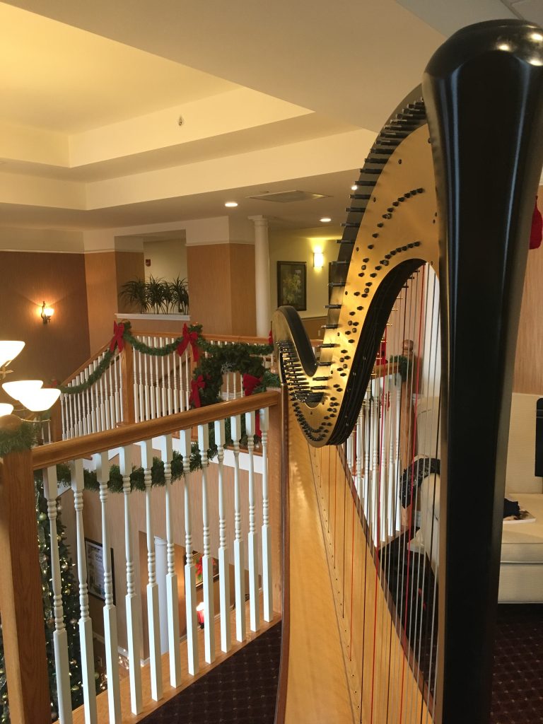 Harpist Peoria