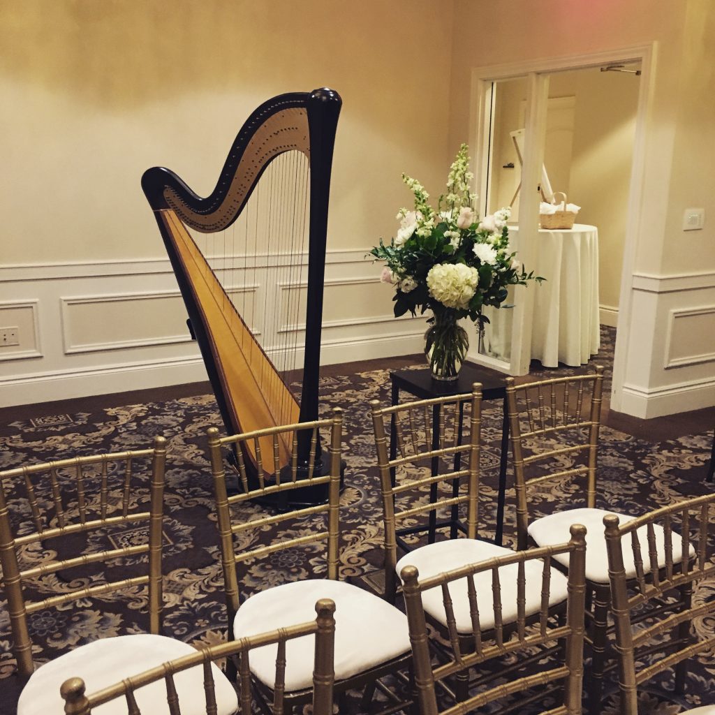 Wedding Harpist Eastern Iowa