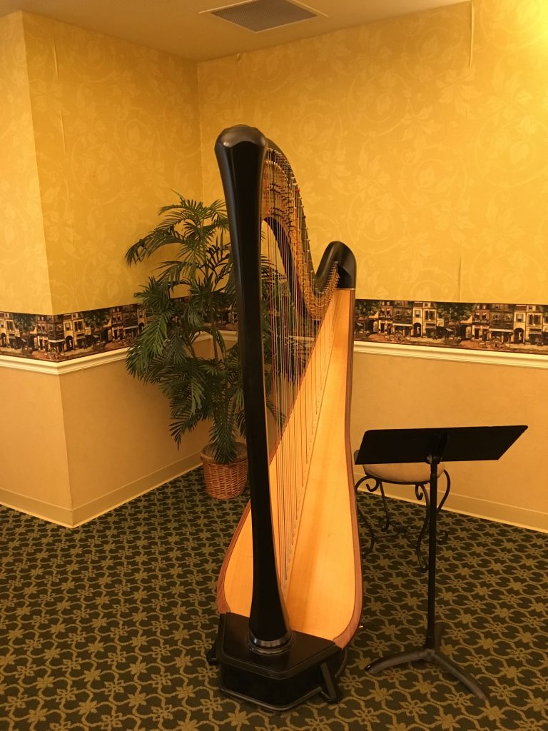 Harp Player in Elkhart
