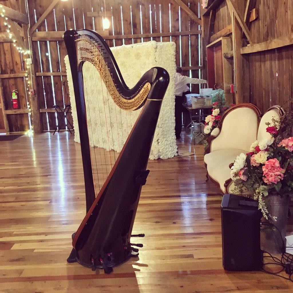 Harpist in Western Wisconsin