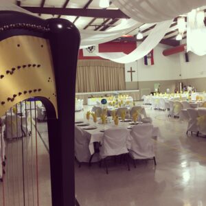 SEMO Harpist