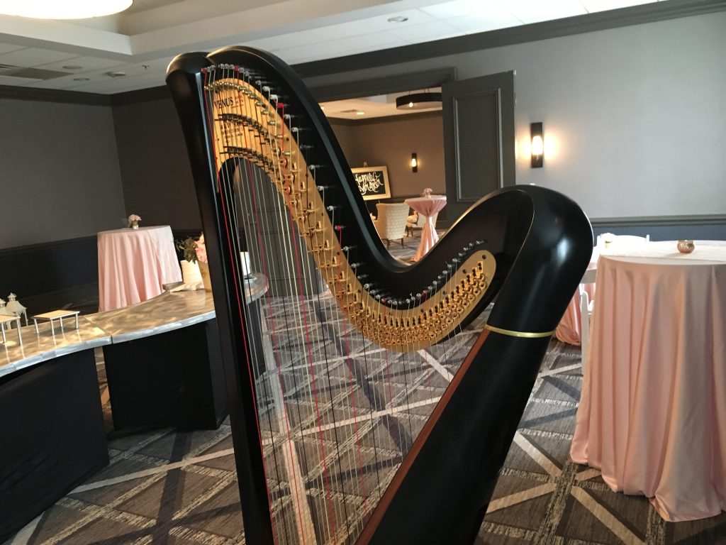 Wedding Harpist Oak Brook IL