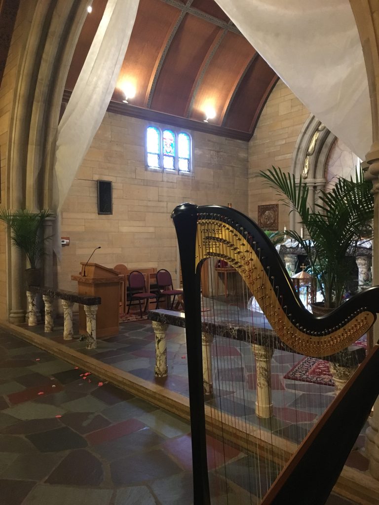 Princeton IL Harpist