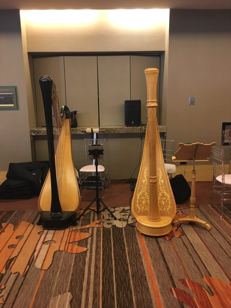Chicago Harp Duet