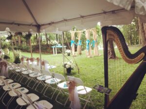 Harpist in South Bend