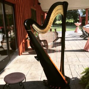 Northern IL Wedding Harpist