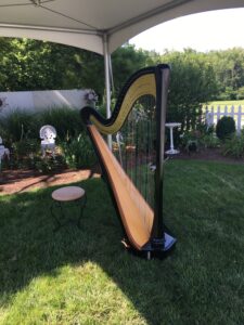 Wedding Musicians in Southern Ohio