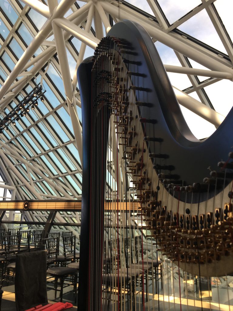 Cleveland Harpist