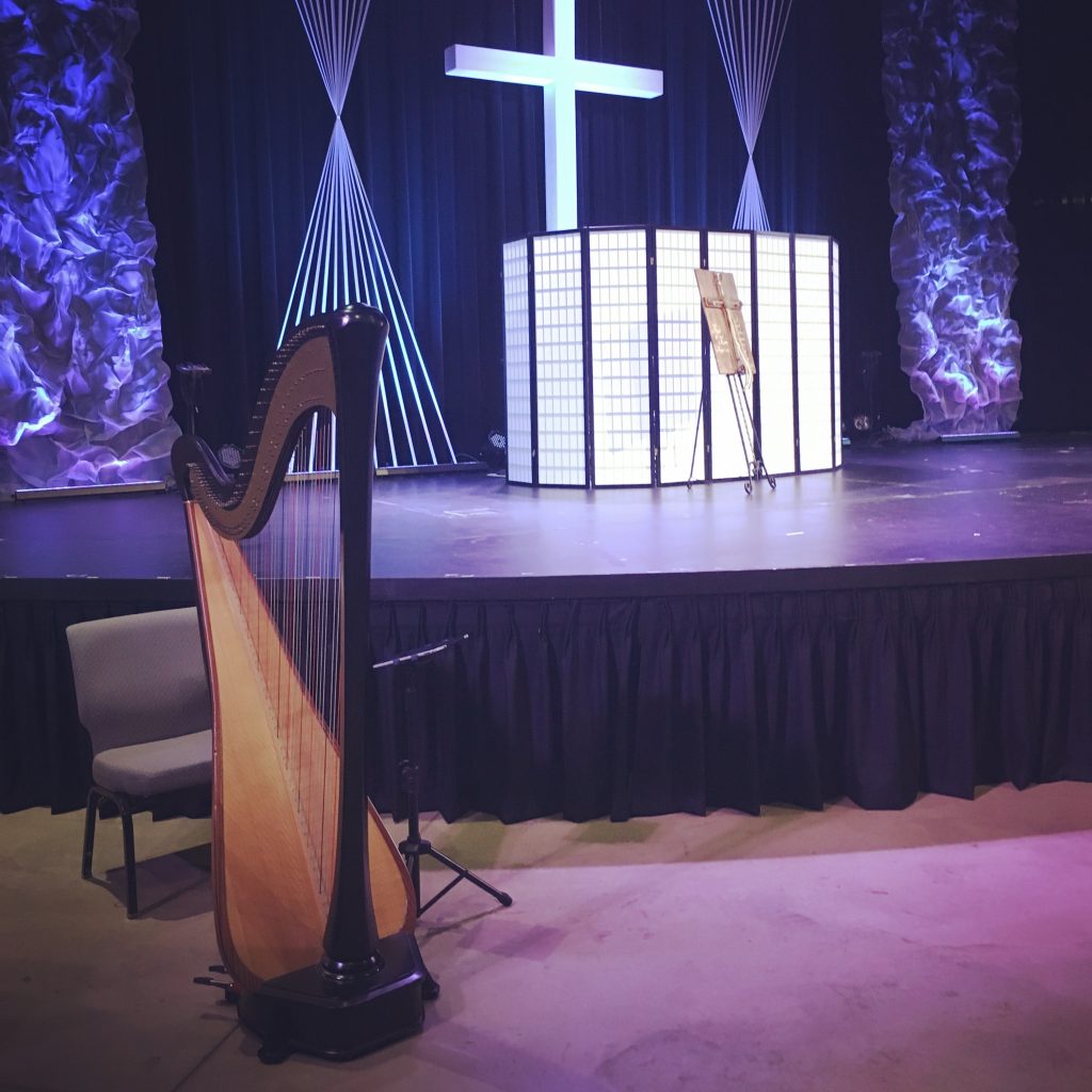 Fort Wayne Harp Player