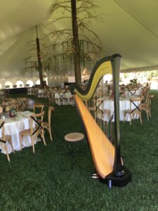 Live Music for Wedding Reception Traverse City