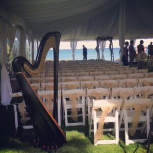 Port Huron Wedding Harpist