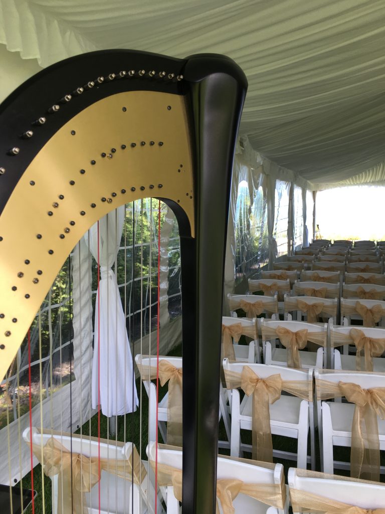 Port Huron Wedding Harpist