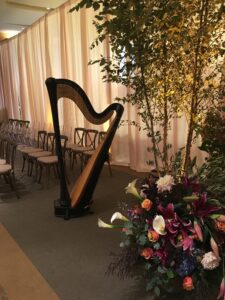 Cincinnati Harpist