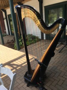 Wedding Harpist Traverse City MI