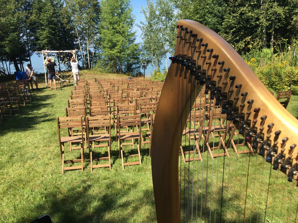 Upper Peninsula Harpist