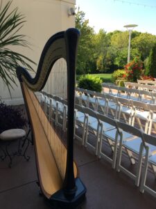 Chicago Wedding Harpist