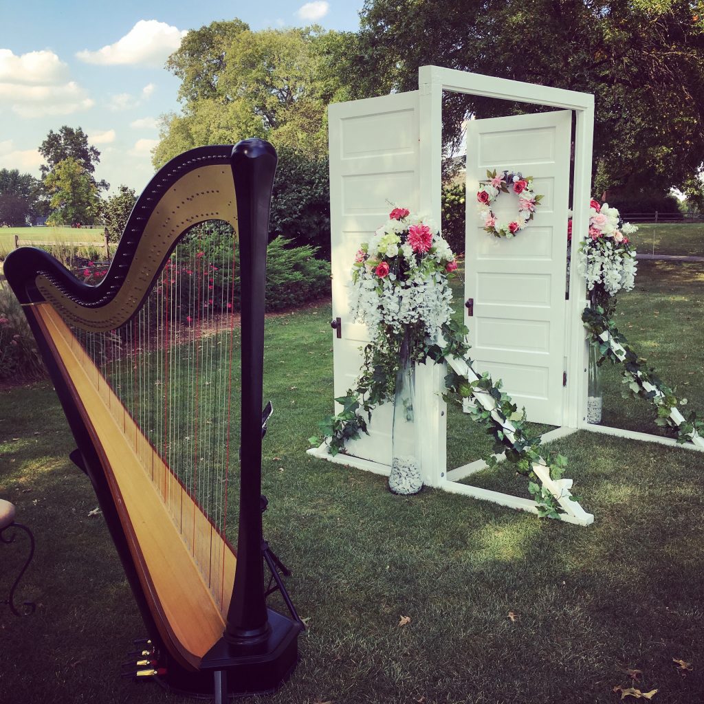 Harpist in Springfield