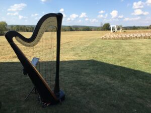 Bonne Terre MO Harpist