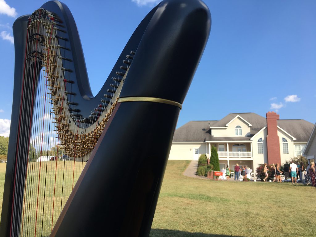 Wedding Harpist Ste. Genevieve