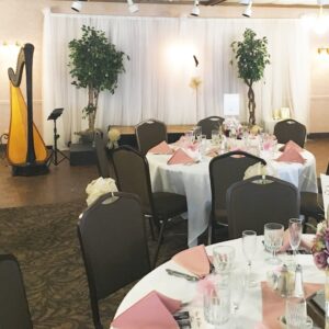 Live Harp Music Peoria
