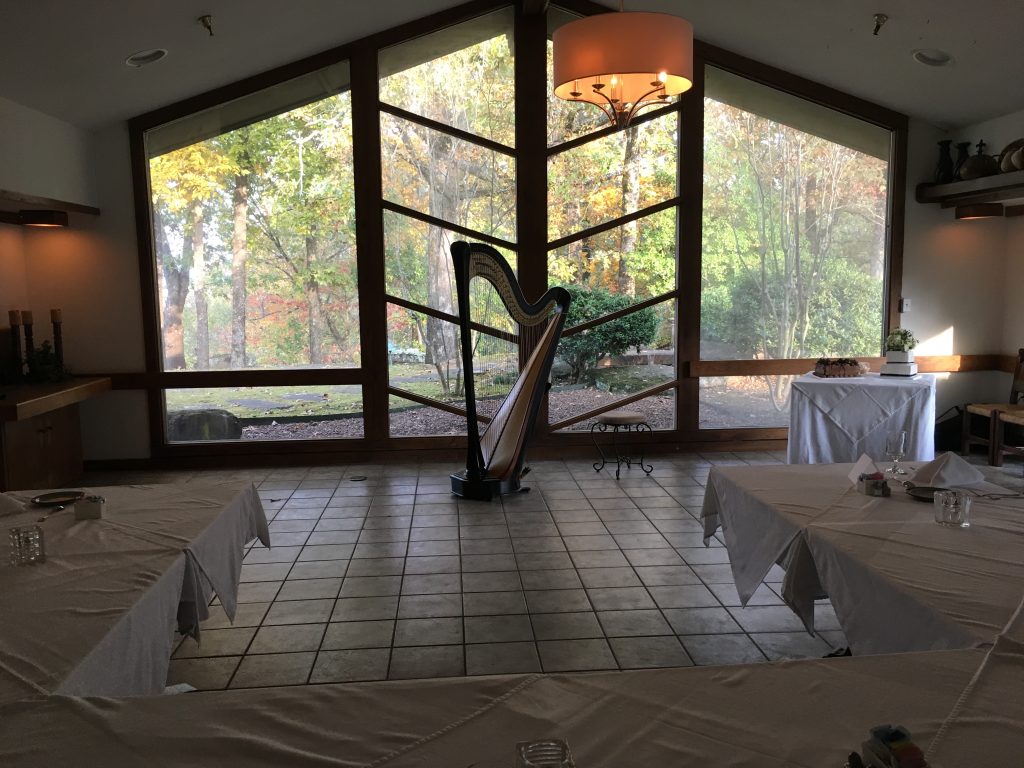 Arkansas Wedding Harpist