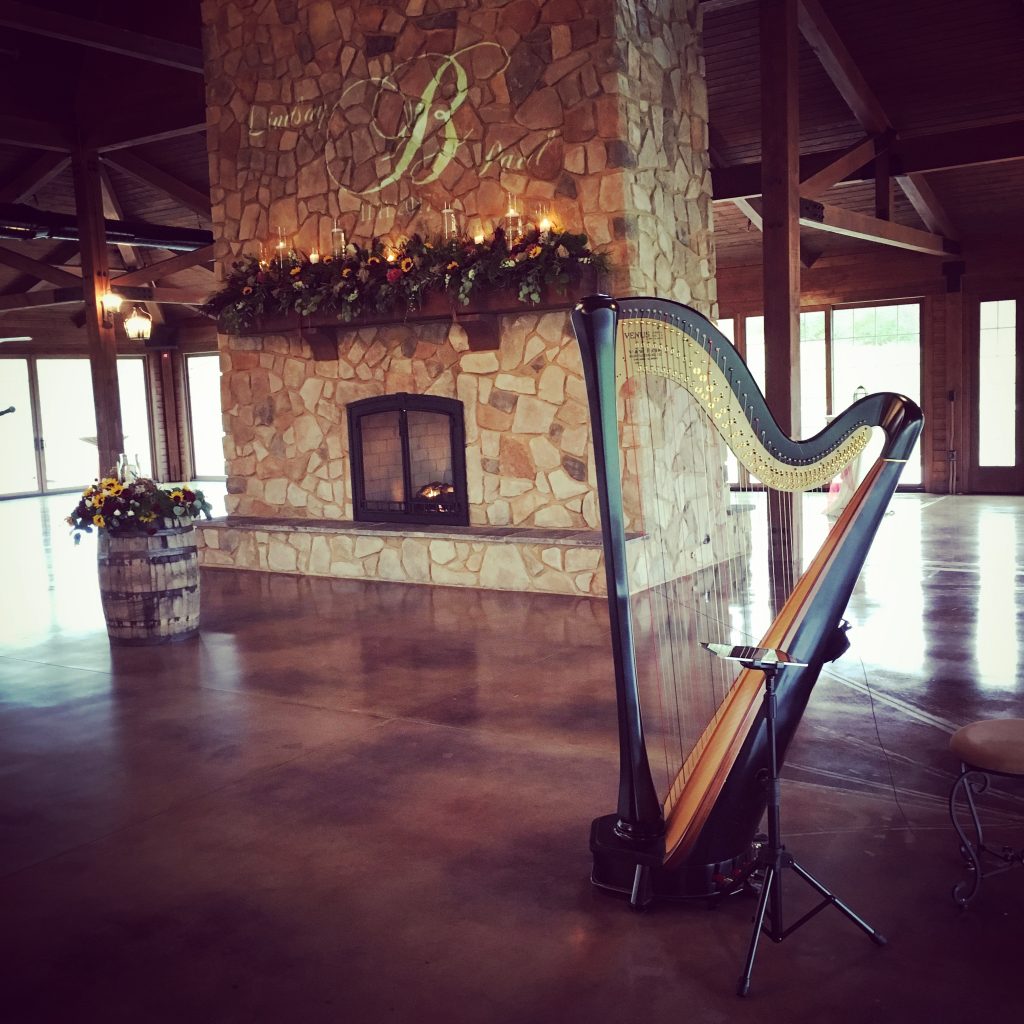 Wedding Ceremony Musicians Rockford