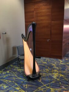 Central IA Harpist