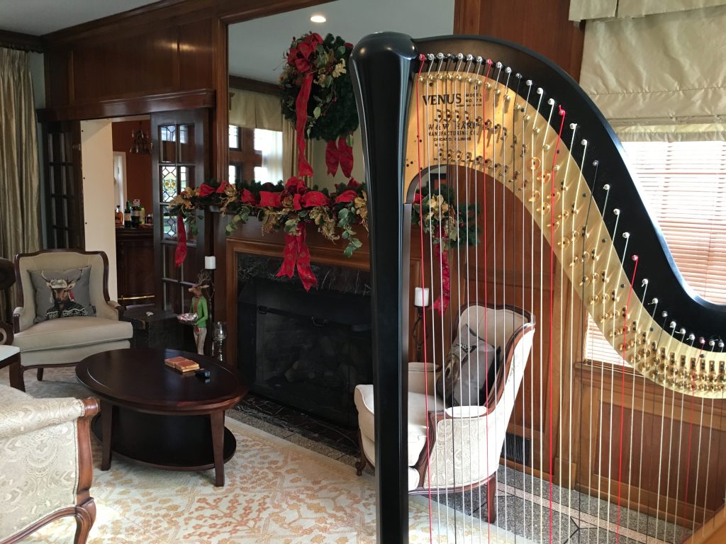 Louisville Harpist