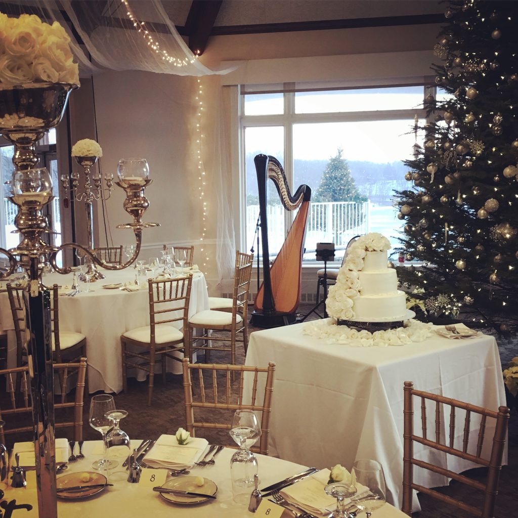 Kalamazoo Wedding Harpist