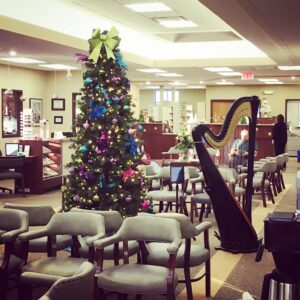 Harpist in Kankakee
