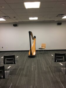 Harpist in Detroit