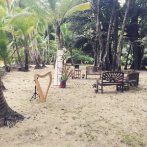 Panama Wedding Harpist