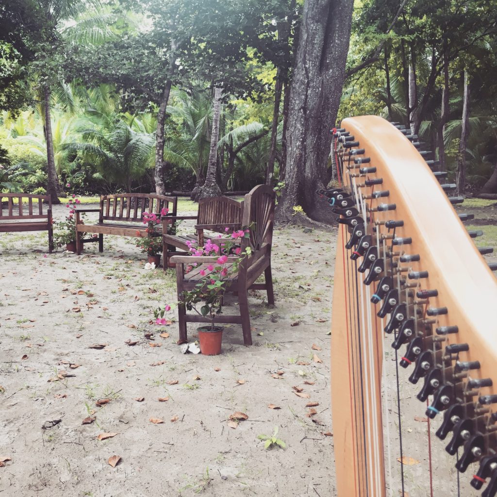 Harpist in Panama